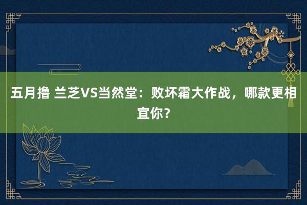 五月撸 兰芝VS当然堂：败坏霜大作战，哪款更相宜你？