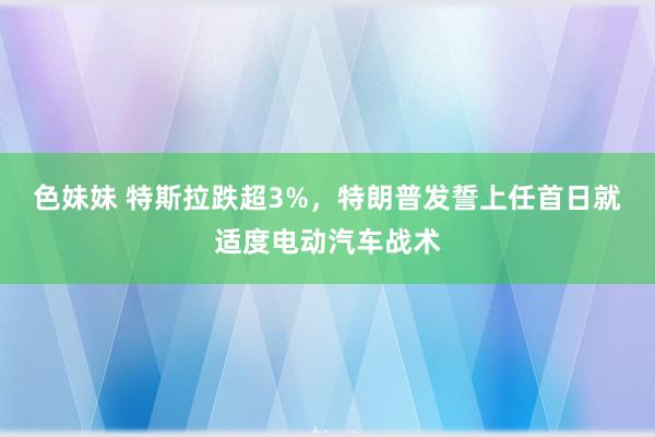 色妹妹 特斯拉跌超3%，特朗普发誓上任首日就适度电动汽车战术