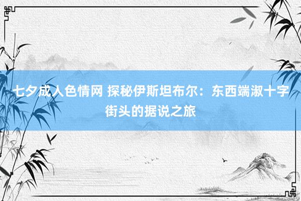 七夕成人色情网 探秘伊斯坦布尔：东西端淑十字街头的据说之旅