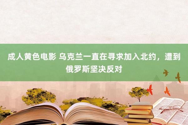 成人黄色电影 乌克兰一直在寻求加入北约，遭到俄罗斯坚决反对