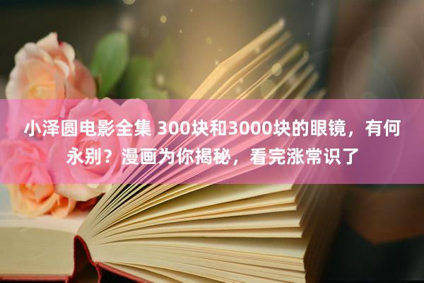 小泽圆电影全集 300块和3000块的眼镜，有何永别？漫画为你揭秘，看完涨常识了