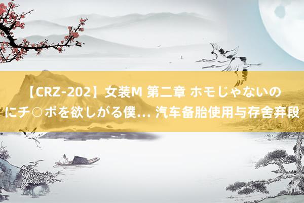 【CRZ-202】女装M 第二章 ホモじゃないのにチ○ポを欲しがる僕… 汽车备胎使用与存舍弃段