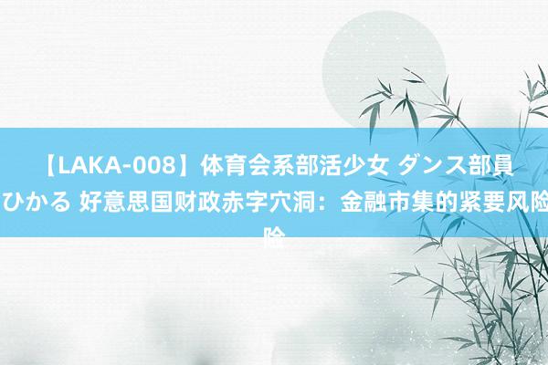 【LAKA-008】体育会系部活少女 ダンス部員 ひかる 好意思国财政赤字穴洞：金融市集的紧要风险