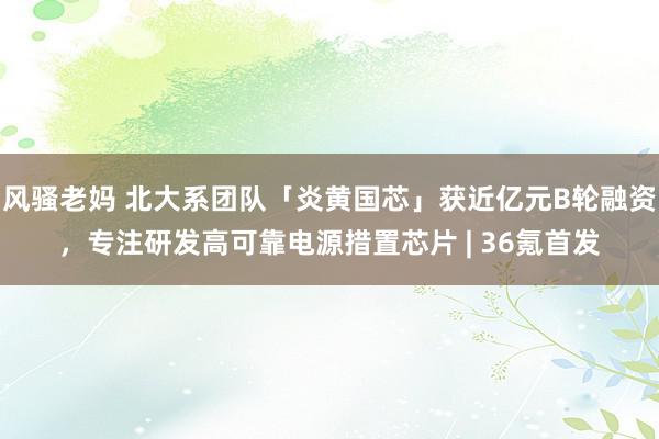 风骚老妈 北大系团队「炎黄国芯」获近亿元B轮融资，专注研发高可靠电源措置芯片 | 36氪首发