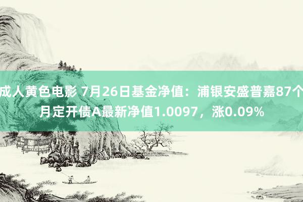 成人黄色电影 7月26日基金净值：浦银安盛普嘉87个月定开债A最新净值1.0097，涨0.09%