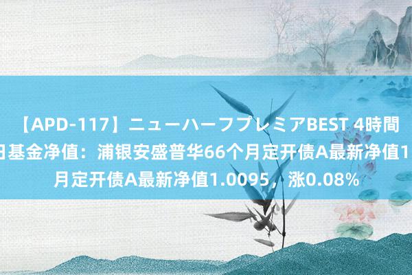 【APD-117】ニューハーフプレミアBEST 4時間SPECIAL 7月26日基金净值：浦银安盛普华66个月定开债A最新净值1.0095，涨0.08%