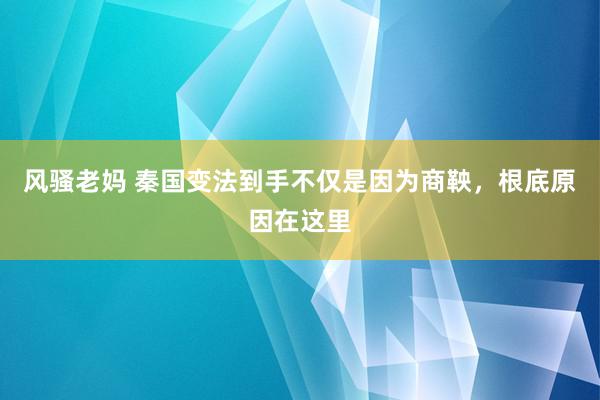 风骚老妈 秦国变法到手不仅是因为商鞅，根底原因在这里