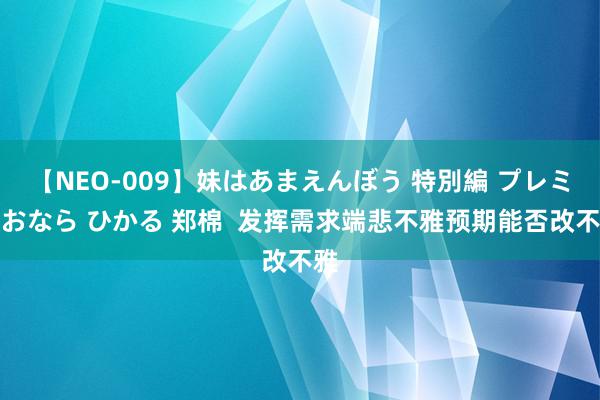 【NEO-009】妹はあまえんぼう 特別編 プレミアおなら ひかる 郑棉  发挥需求端悲不雅预期能否改不雅