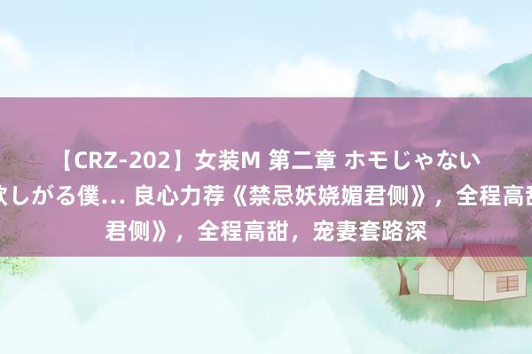 【CRZ-202】女装M 第二章 ホモじゃないのにチ○ポを欲しがる僕… 良心力荐《禁忌妖娆媚君侧》，全程高甜，宠妻套路深