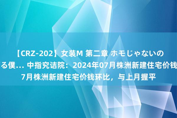 【CRZ-202】女装M 第二章 ホモじゃないのにチ○ポを欲しがる僕… 中指究诘院：2024年07月株洲新建住宅价钱环比，与上月握平