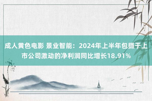 成人黄色电影 景业智能：2024年上半年包摄于上市公司激动的净利润同比增长18.91%