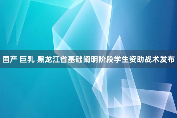 国产 巨乳 黑龙江省基础阐明阶段学生资助战术发布