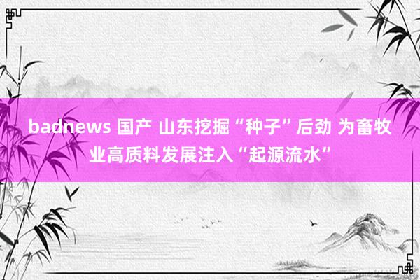 badnews 国产 山东挖掘“种子”后劲 为畜牧业高质料发展注入“起源流水”