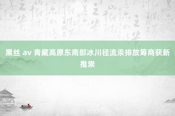 黑丝 av 青藏高原东南部冰川径流汞排放筹商获新推崇