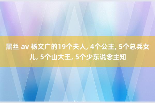 黑丝 av 杨文广的19个夫人, 4个公主, 5个总兵女儿, 5个山大王, 5个少东说念主知