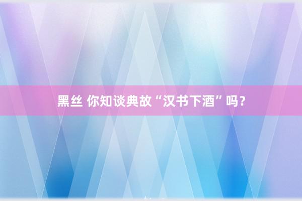 黑丝 你知谈典故“汉书下酒”吗？