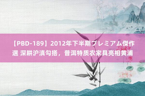 【PBD-189】2012年下半期プレミアム傑作選 深耕沪滇勾搭，普洱特质农家具亮相黄浦