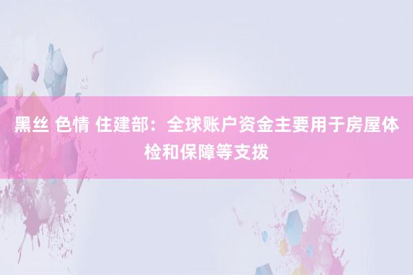 黑丝 色情 住建部：全球账户资金主要用于房屋体检和保障等支拨